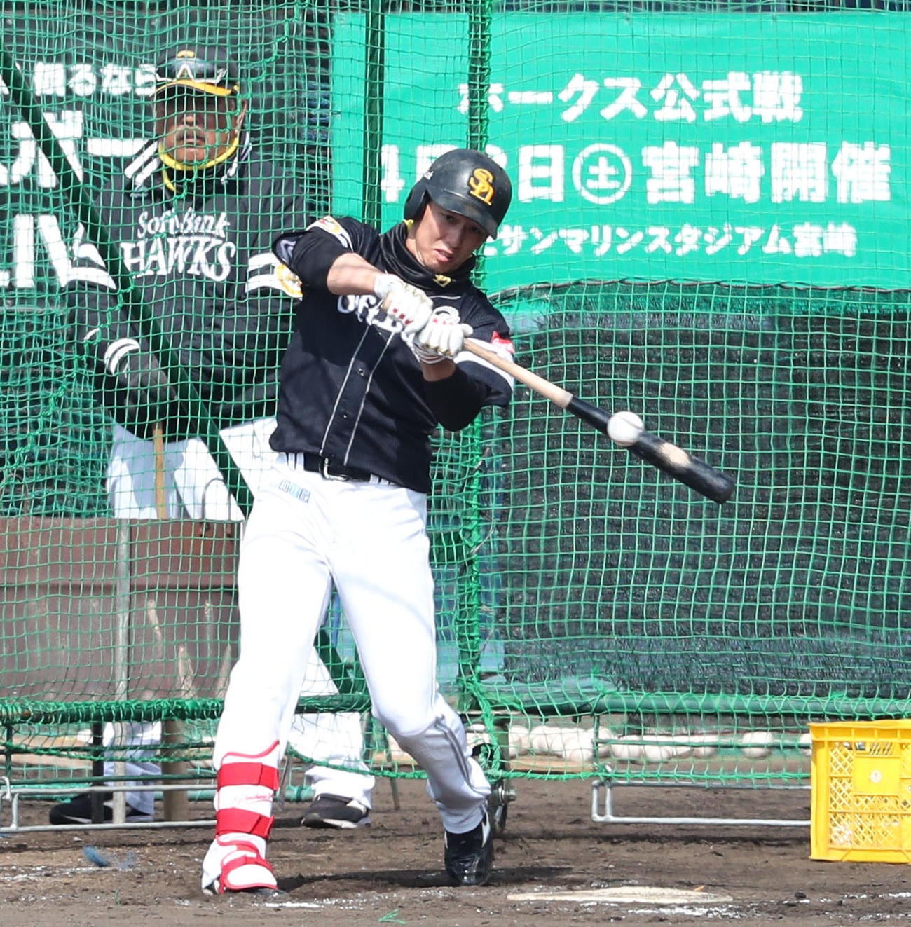 打撃練習を行う栗原陵矢（撮影・梅根麻紀）