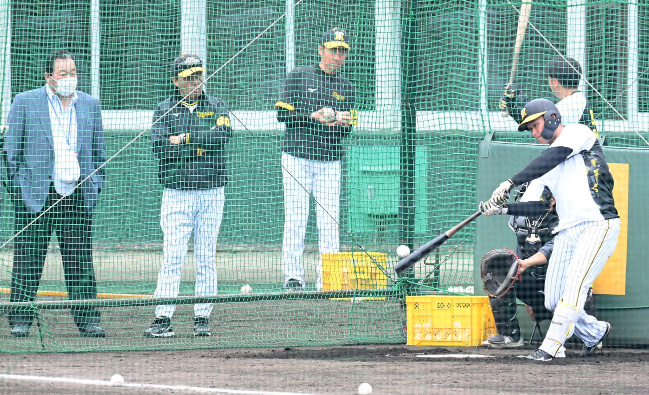 20日、梨田昌孝氏（左）と岡田監督の前でフリー打撃を行う森下