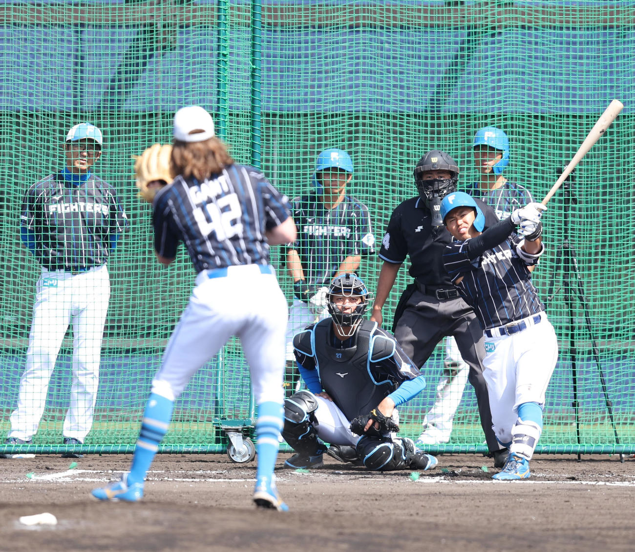 日本ハム今川の打撃投手を務め、投ゴロに仕留めるガント（撮影・佐藤翔太）