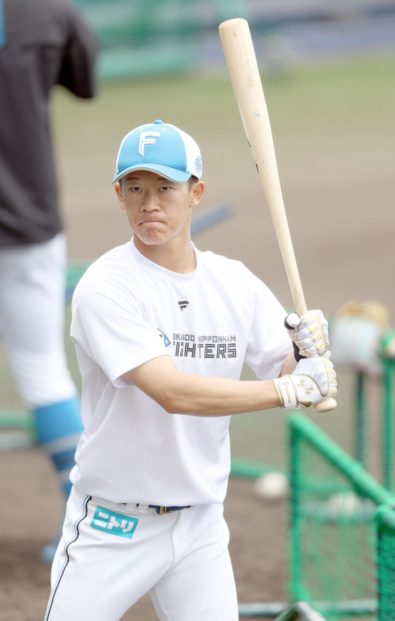 引き締まった表情で打撃練習をする日本ハム矢沢（撮影・佐藤翔太）