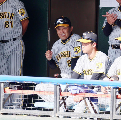 中日対阪神　7回表阪神無死一、二塁、ベンチの中からサインを出す岡田監督（撮影・加藤哉）