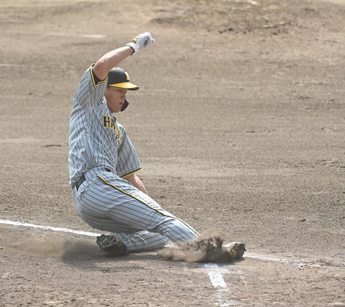 中日対阪神　中日対阪神　2回表阪神1死一、二塁、木浪の左適時打で生還する森下（撮影・森本幸一）