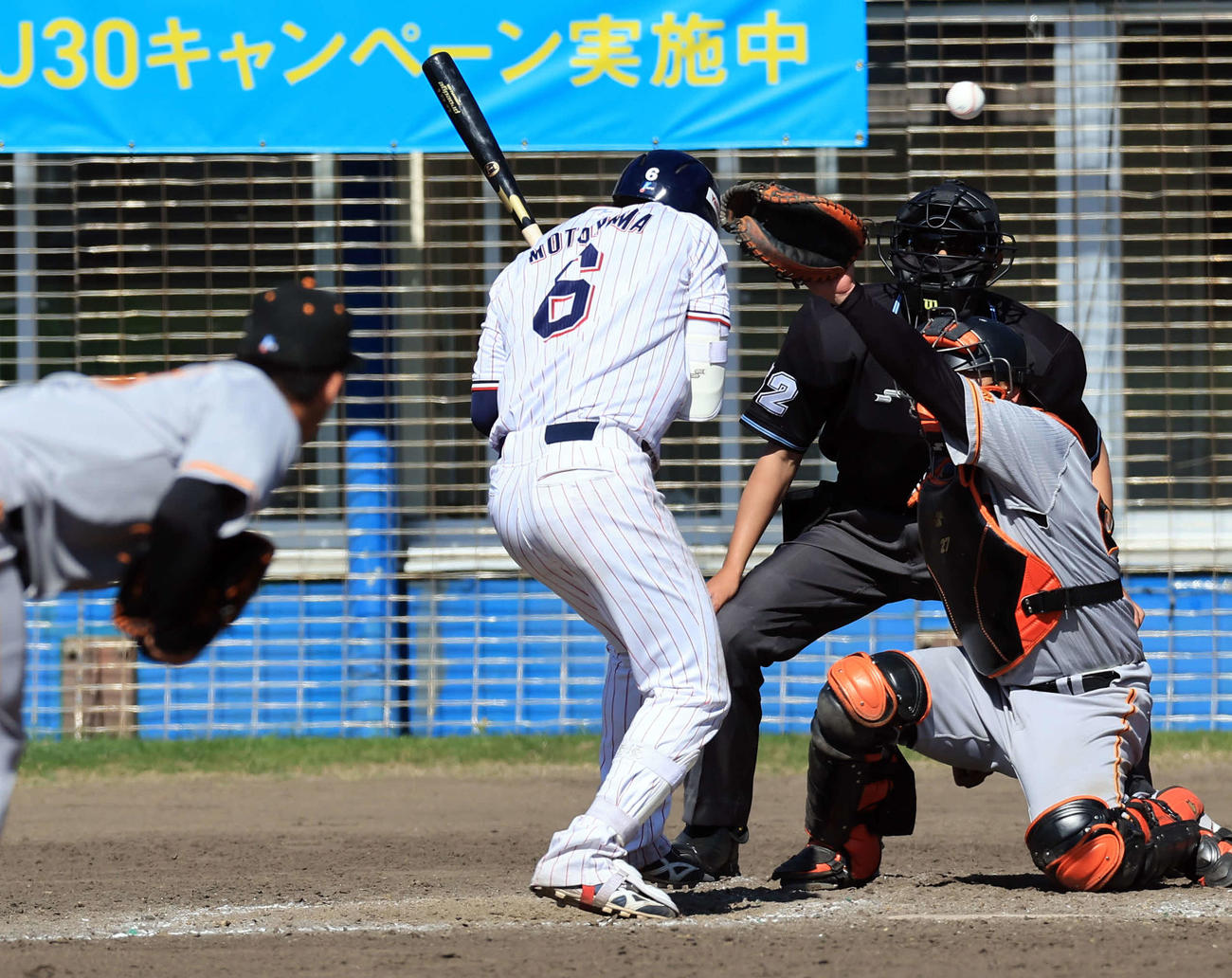 ヤクルト対巨人　5回裏ヤクルト2死、元山は頭部死球を受ける。投手代木（撮影・浅見桂子）