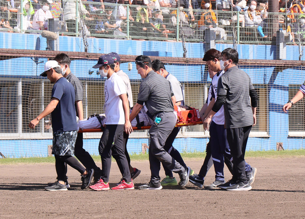 ヤクルト対巨人　5回裏ヤクルト2死、死球を受け、担架で運ばれる元山（撮影・足立雅史）