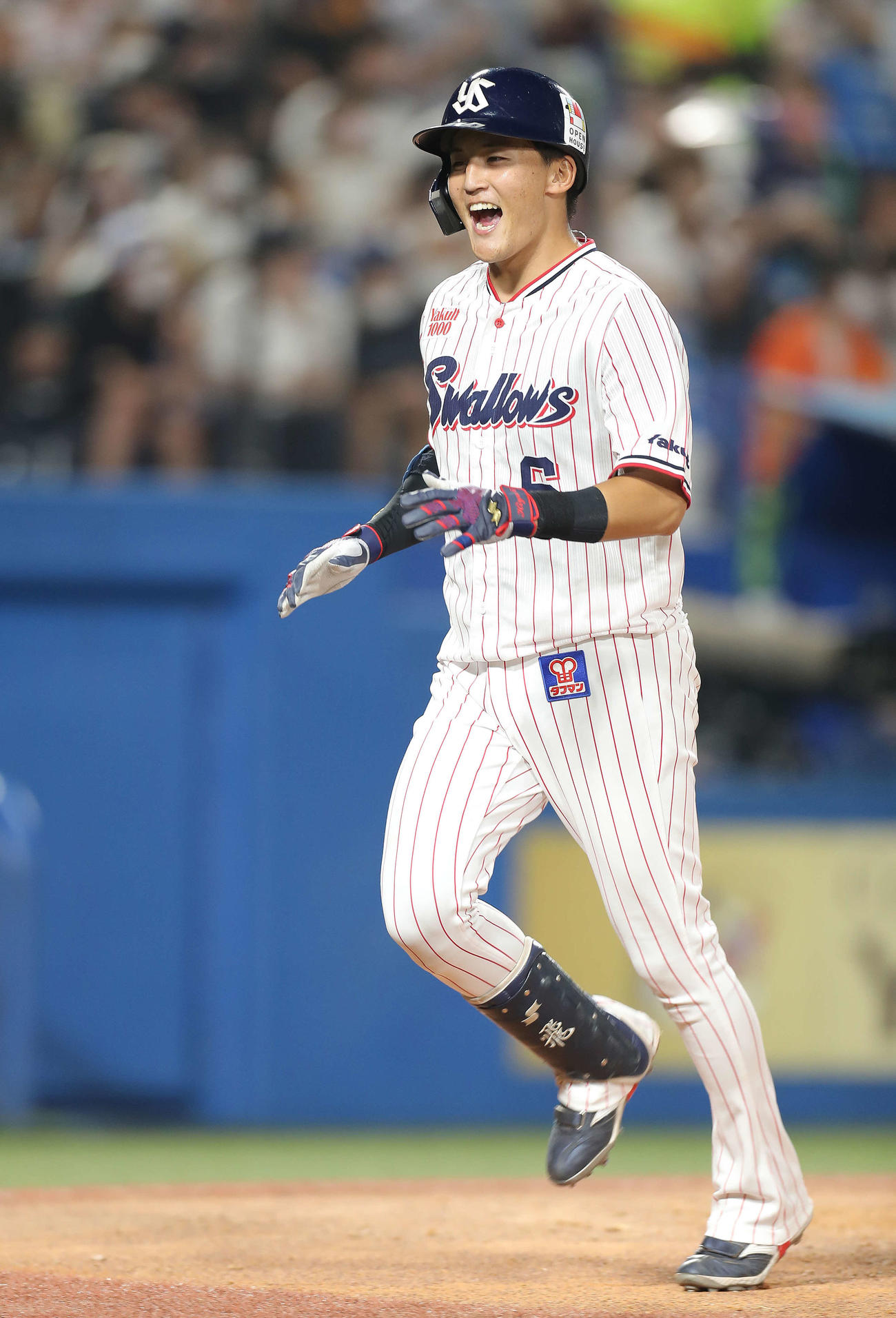 ヤクルト元山飛優（22年7月撮影）
