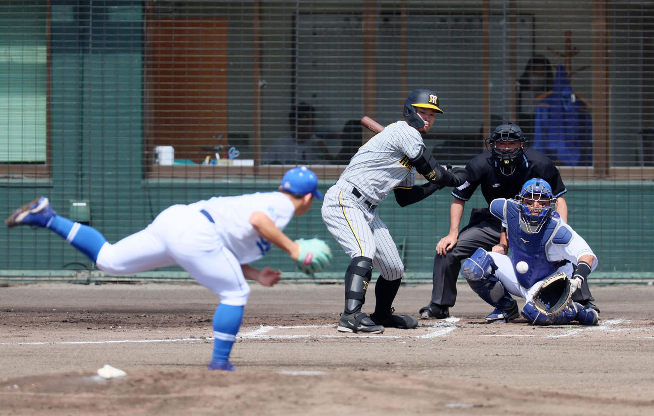 中日対阪神　2回表阪神無死、佐藤輝は四球を選ぶ。投手は小笠原（撮影・加藤哉）