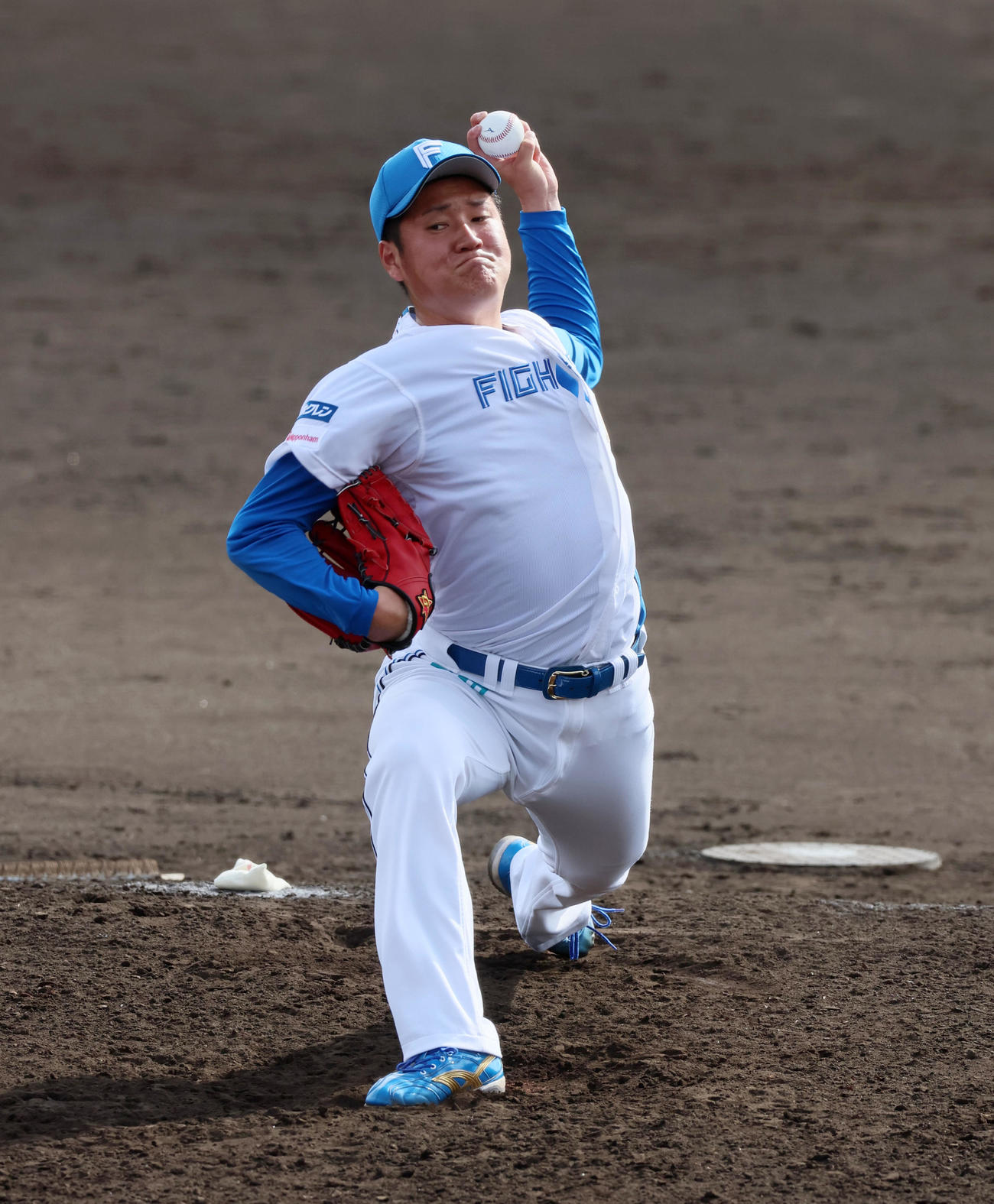 日本ハム対阪神　8回表に登板した山本（撮影・加藤哉）