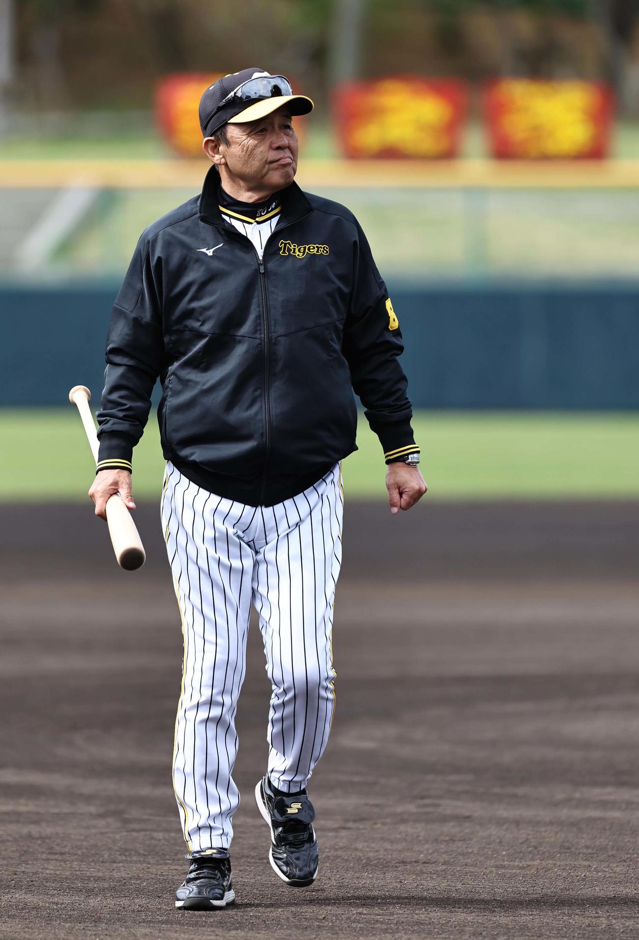 練習を見守る岡田監督（撮影・上田博志）