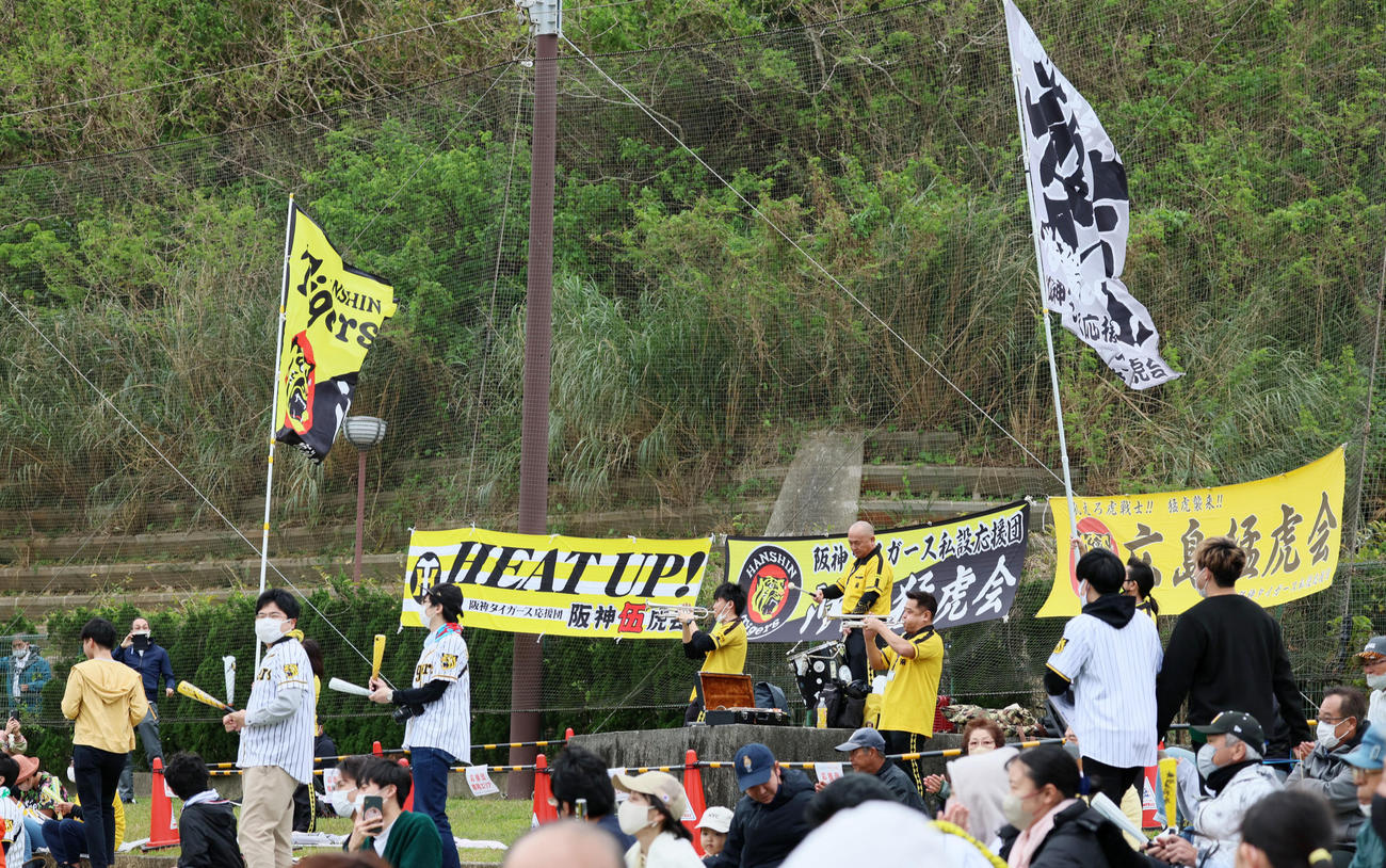 ヤクルト対阪神　ラッパを吹いて盛り上がる阪神ファン（撮影・加藤哉）