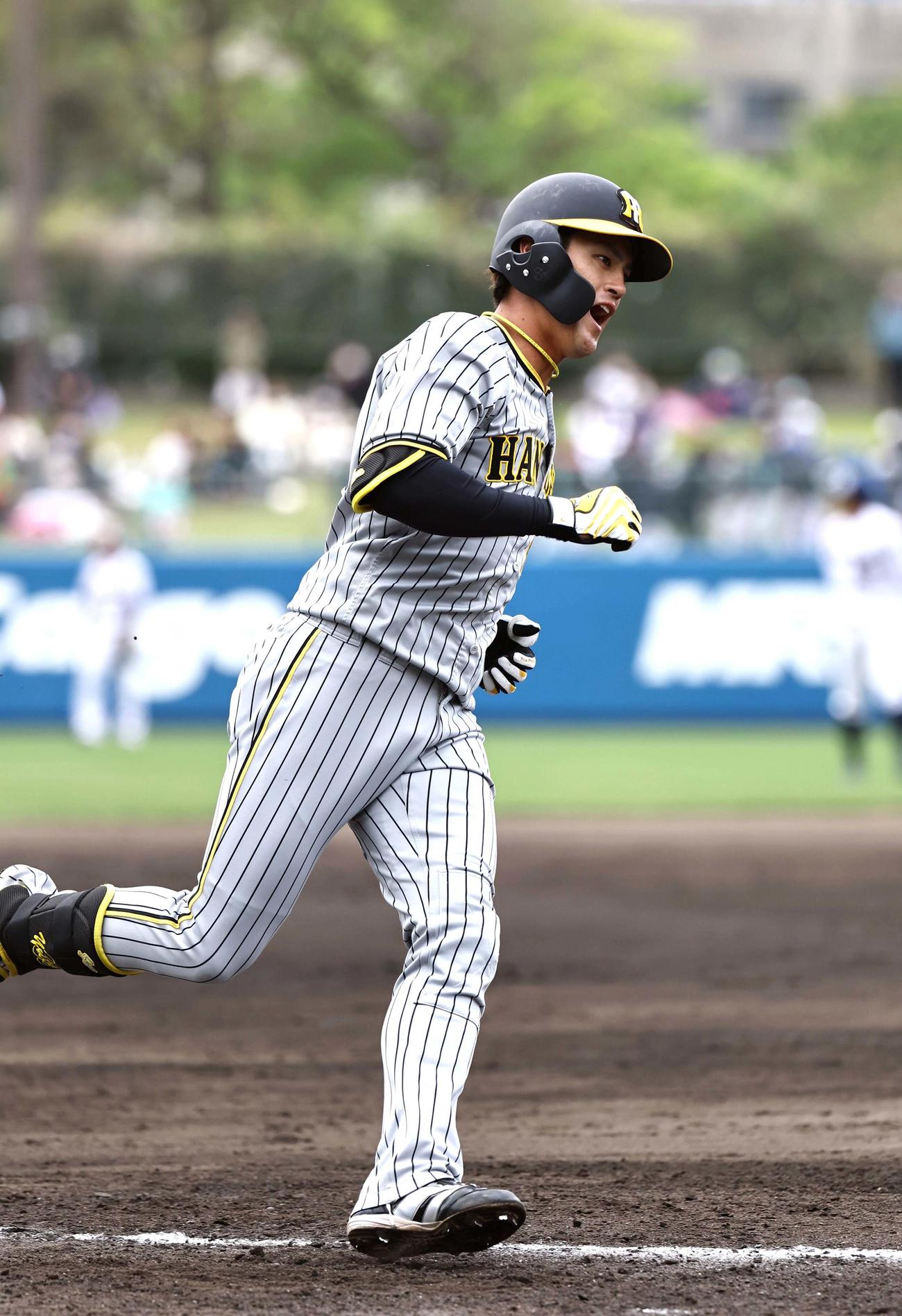 ヤクルト対阪神オープン戦　1回表阪神1死二塁、右中間へ先制2点本塁打を放った板山は「おっしゃー！」と雄たけびをあげる（撮影・上田博志）