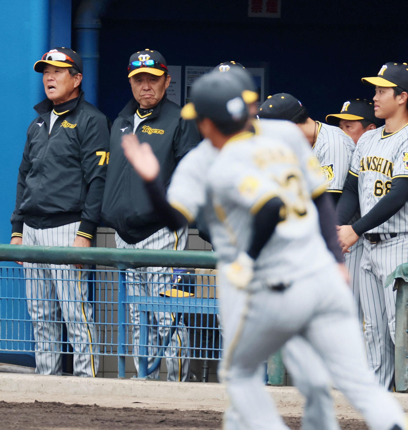 ヤクルト対阪神　1回表阪神2死二塁、岡田監督（左から2人目）は2点本塁打を放った板山を見つめる（撮影・加藤哉）
