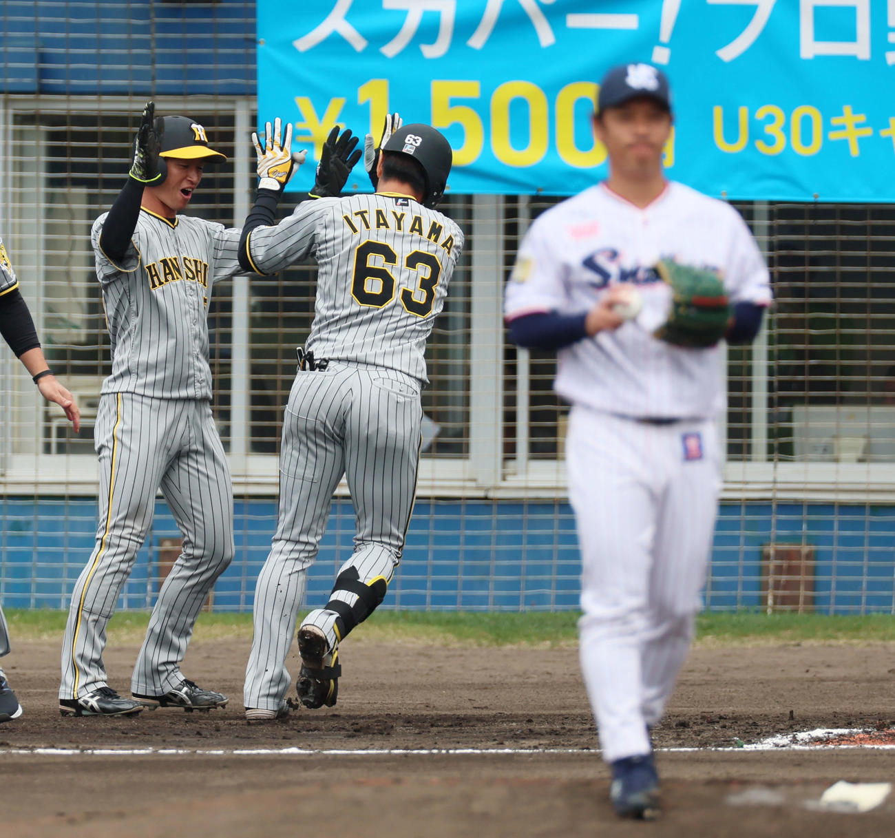 ヤクルト対阪神　1回表阪神2死二塁、板山は右越え2点本塁打を放ち先に生還した二塁走者近本（左）の出迎えを受ける。右は小川（撮影・加藤哉）