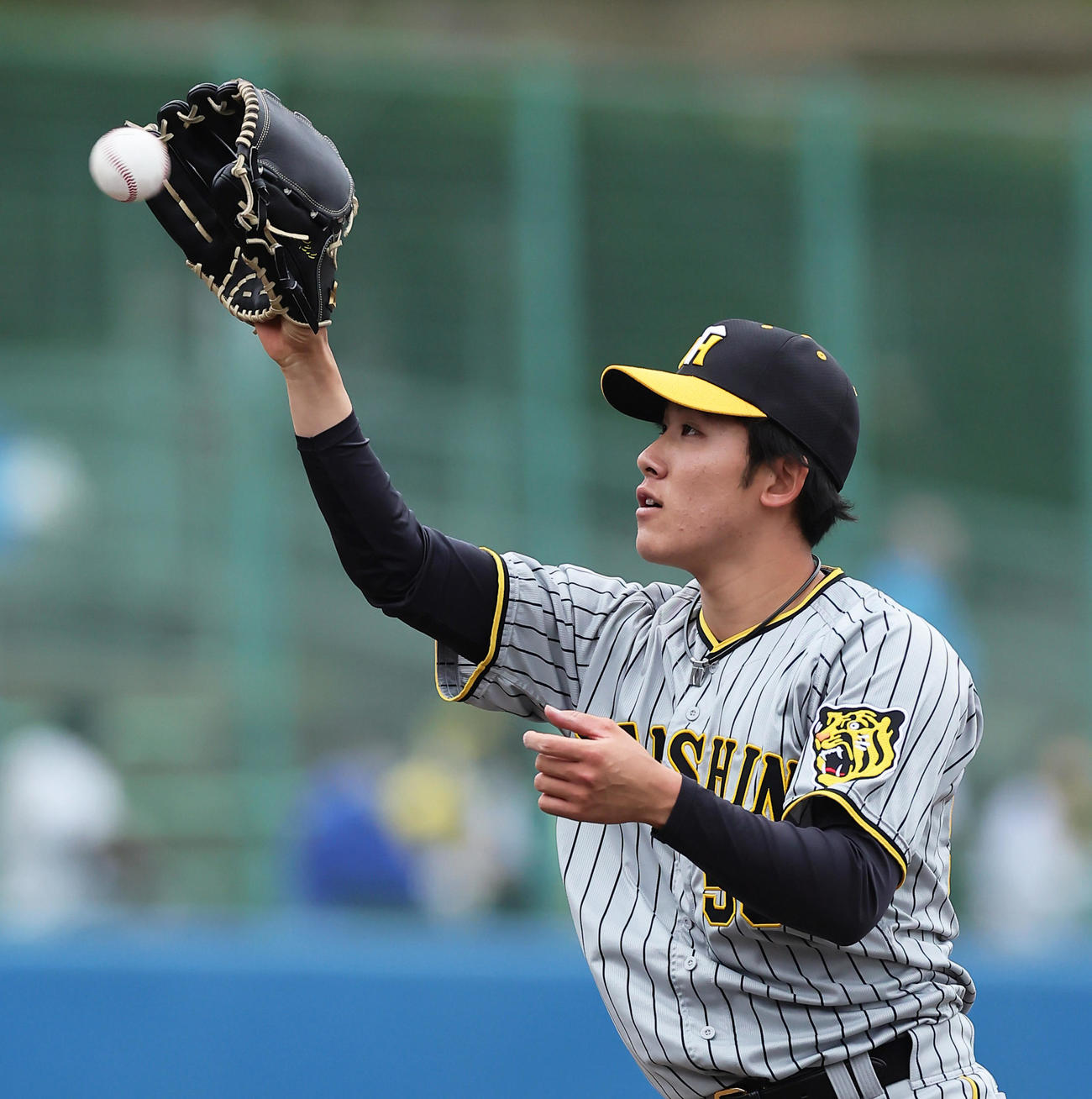ヤクルト対阪神　5回裏ヤクルト1死、松本直の打球を冷静に処理し投ゴロとする富田（撮影・足立雅史）