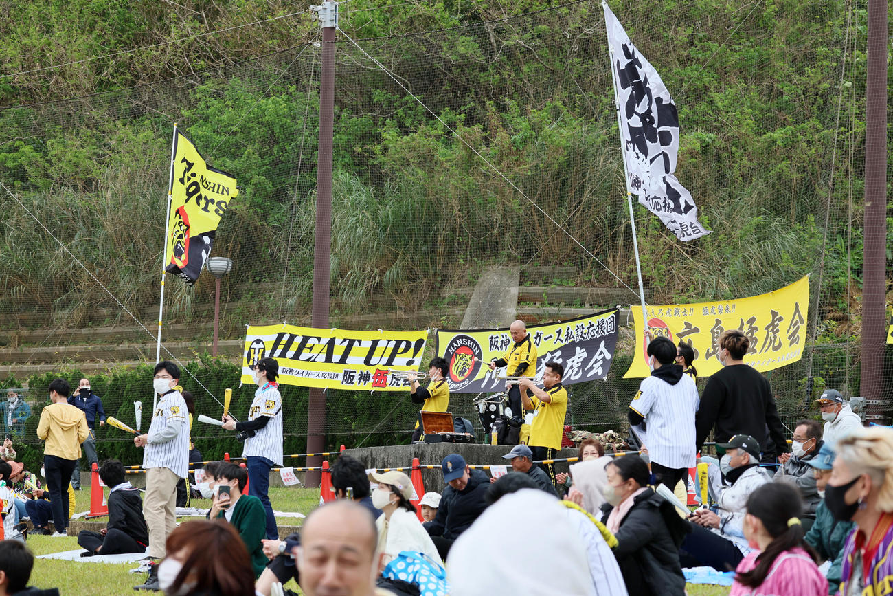 ヤクルト対阪神　ラッパを吹いて盛り上がる阪神ファン（撮影・加藤哉）
