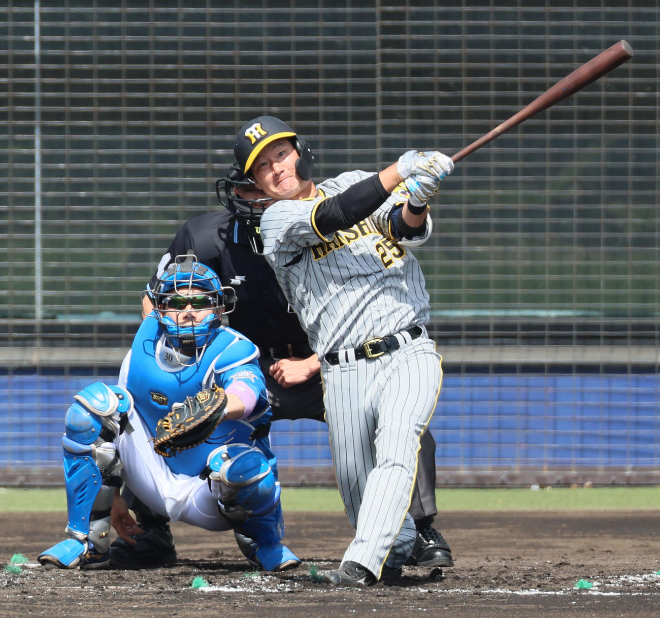 日本ハム対阪神　2回表阪神1死、渡辺諒は左越え本塁打を放つ（撮影・加藤哉）