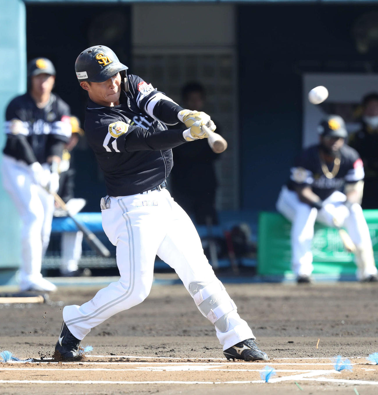 ソフトバンク野村勇（2023年2月16日撮影）