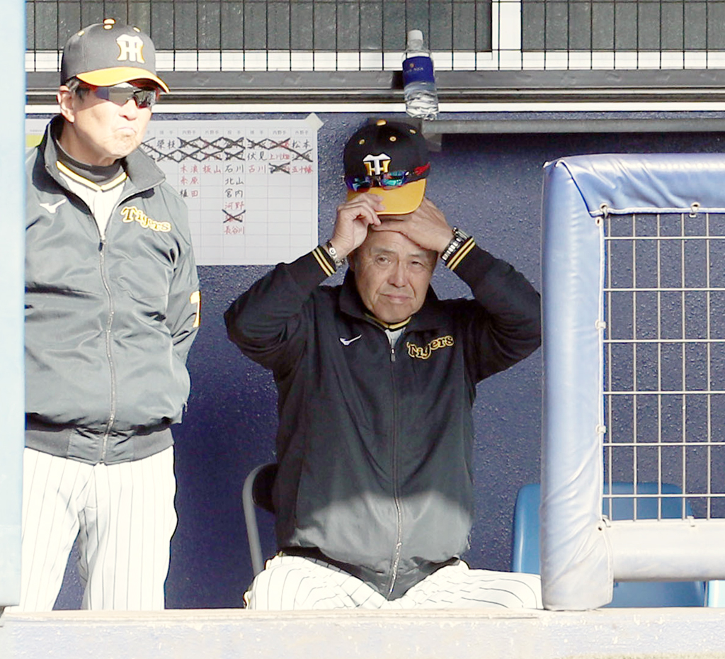 日本ハム対阪神　ベンチで頭をかく阪神岡田監督（撮影・佐藤翔太）
