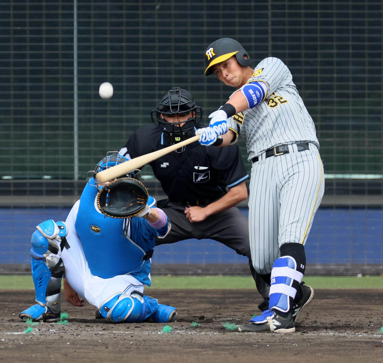 日本ハム対阪神　5回表阪神1死、井上は中越え本塁打を放つ（撮影・加藤哉）