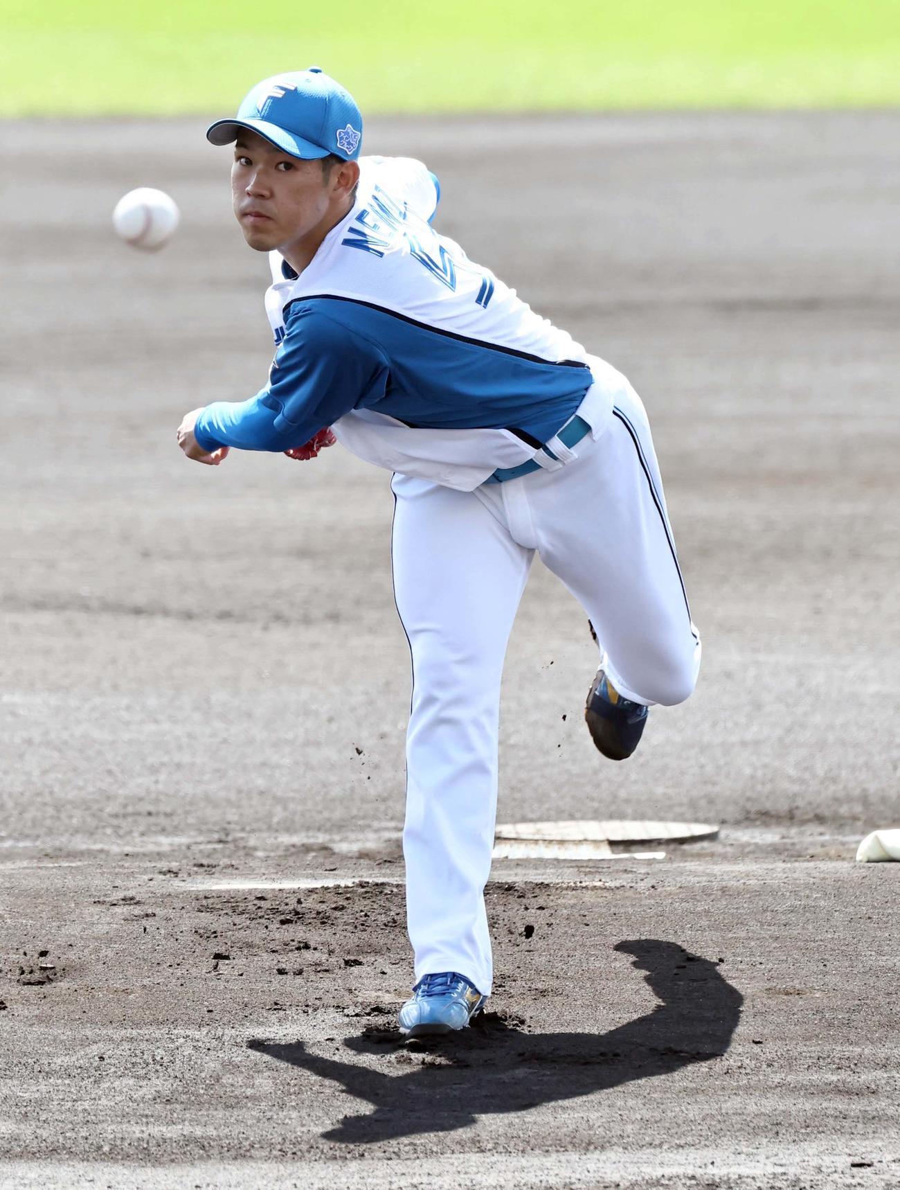 日本ハム対阪神　日本ハム先発の根本（撮影・上田博志）