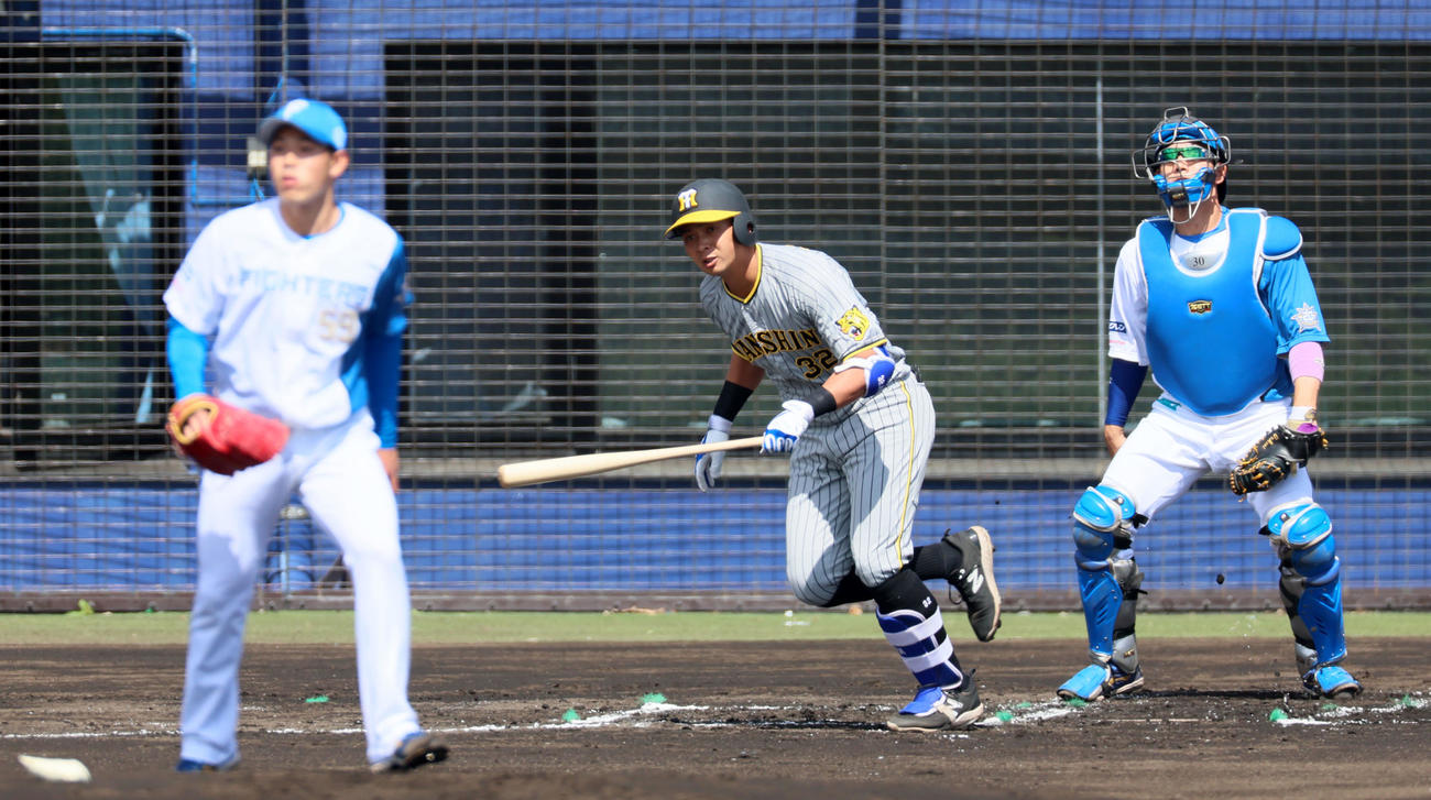 日本ハム対阪神　1回表阪神2死一塁、井上は右前打を放つ。投手は根本（撮影・加藤哉）