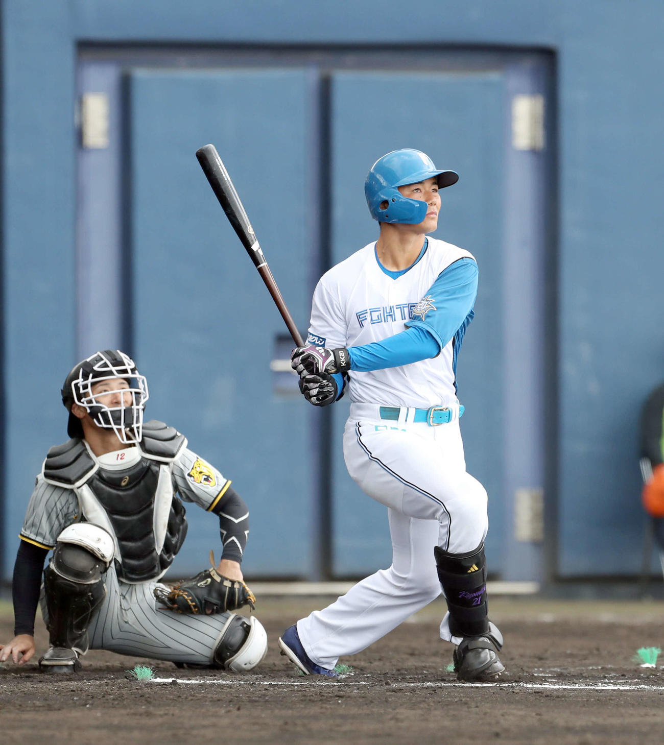 日本ハム対阪神　6回裏日本ハム1死、清宮は右越え本塁打を放つ（撮影・佐藤翔太）