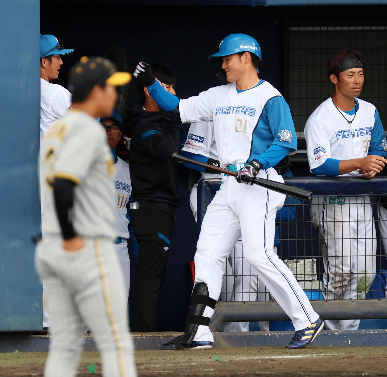 日本ハム対阪神　6回裏日本ハム1死、清宮は右越え本塁打を放ちベンチのナインと表情も明るくタッチする（撮影・加藤哉）