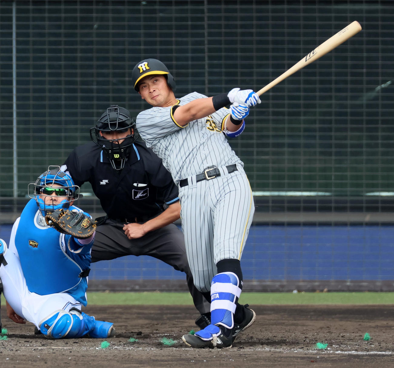日本ハム対阪神　5回表阪神1死、井上は中越え本塁打を放つ（撮影・加藤哉）