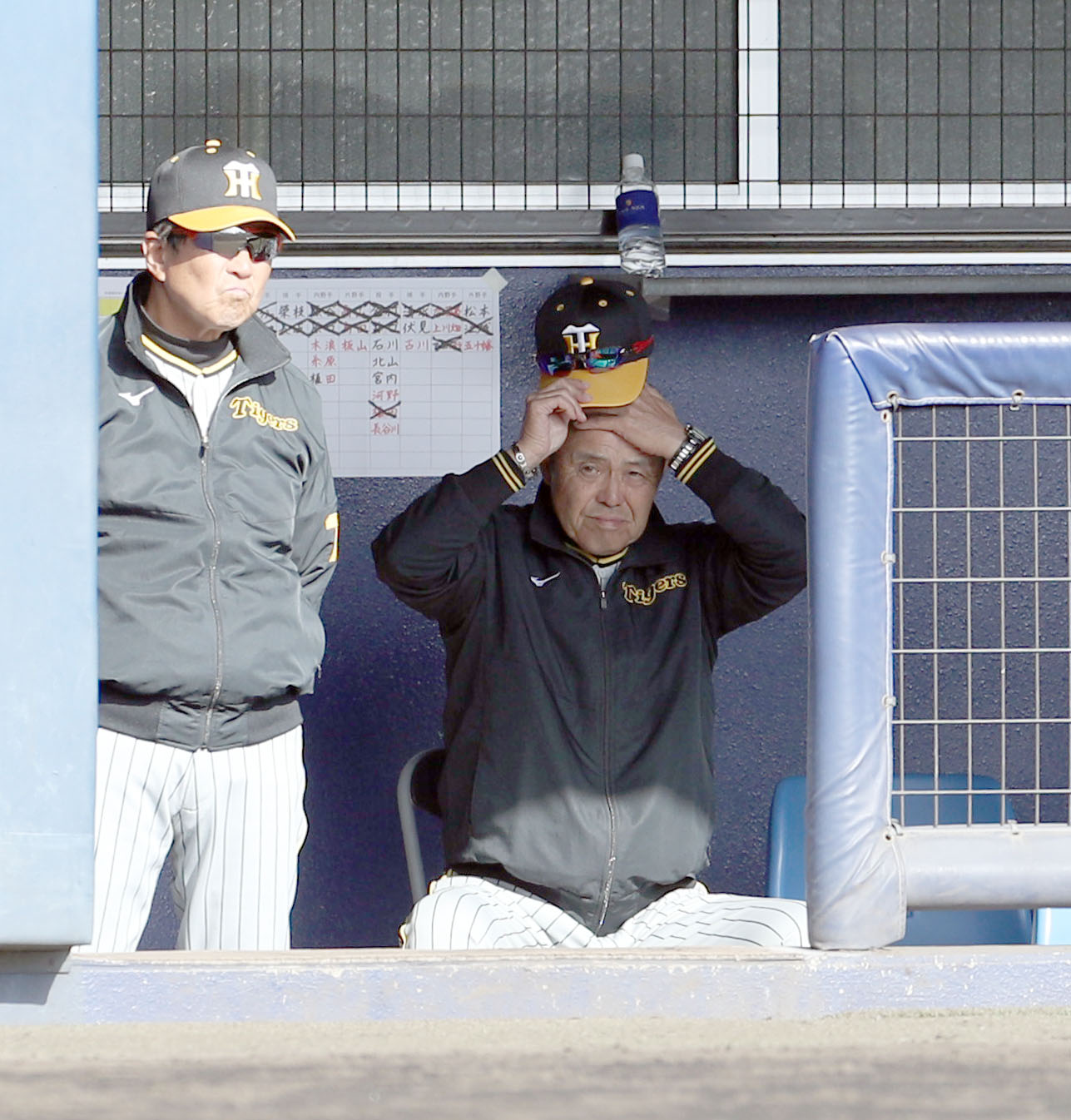 日本ハム対阪神　ベンチで頭をかく阪神岡田監督（撮影・佐藤翔太）