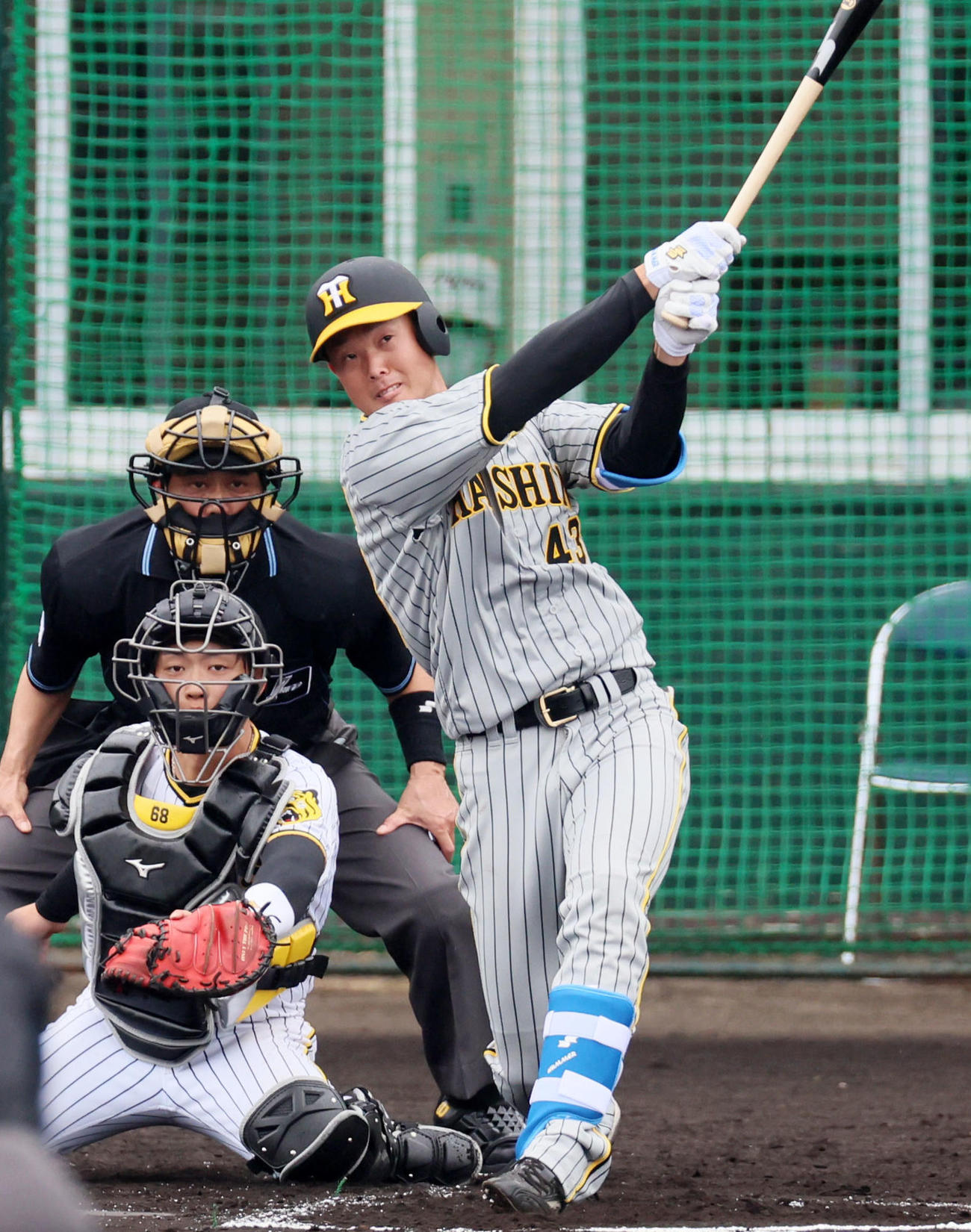 阪神高浜祐仁（2023年2月撮影）