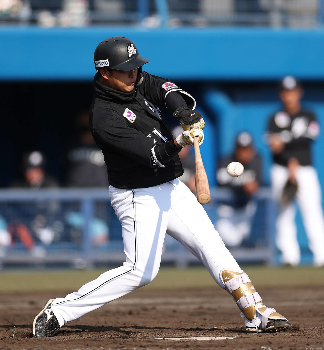 ロッテ山口航輝（2023年2月25日撮影）