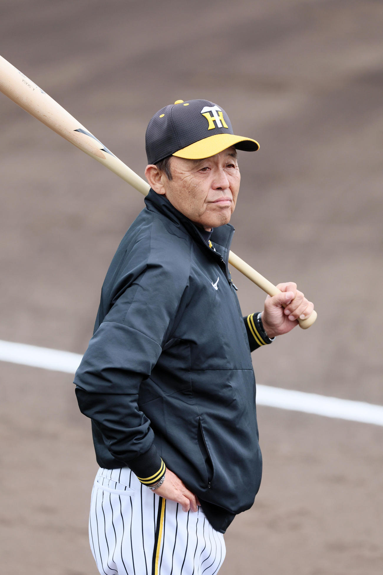 バットを手に練習を見守る岡田監督（撮影・加藤哉）