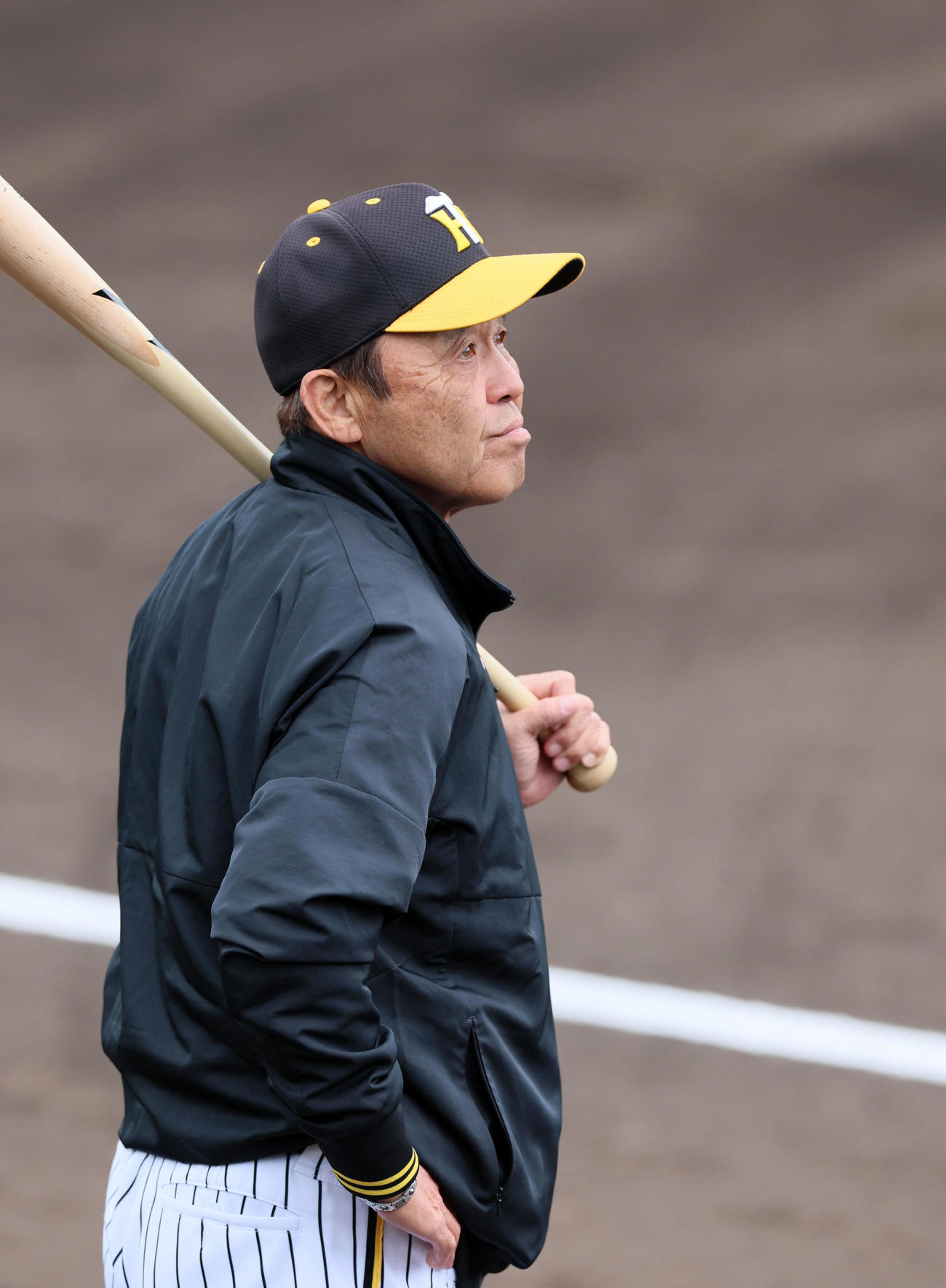 バットを手に練習を見守る岡田監督（撮影・加藤哉）