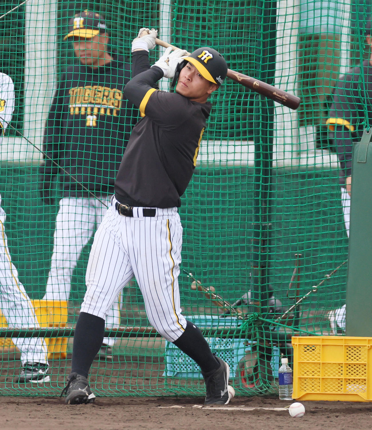 打撃練習を行う阪神佐藤輝（撮影・加藤哉）