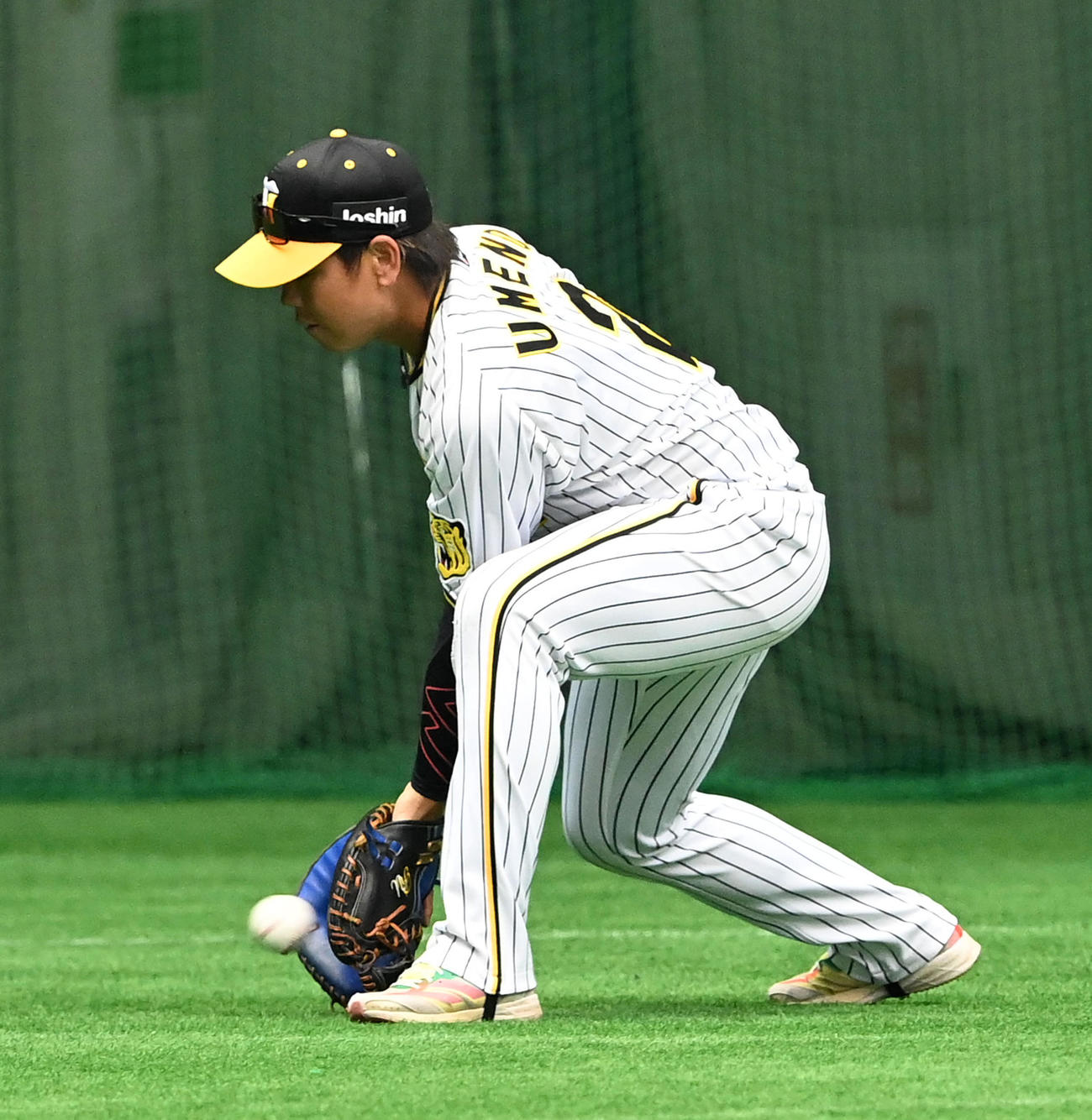 ノックを受ける梅野（撮影・前岡正明）