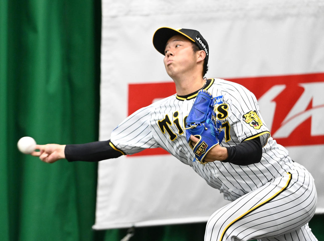 ブルペンで投球練習を行う青柳（撮影・前岡正明）