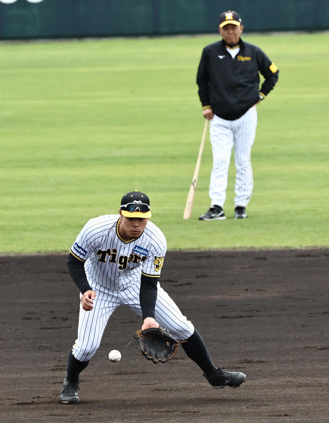 岡田監督のチェックする中、シートノックを受ける佐藤輝（撮影・上田博志）