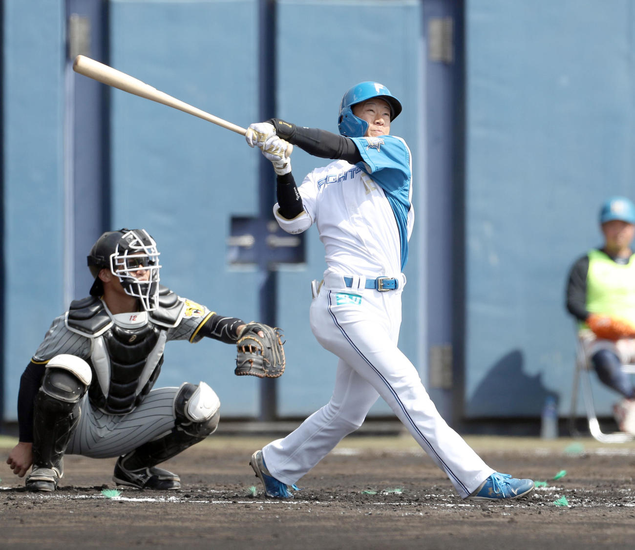 日本ハム矢沢宏太（23年2月26日撮影）