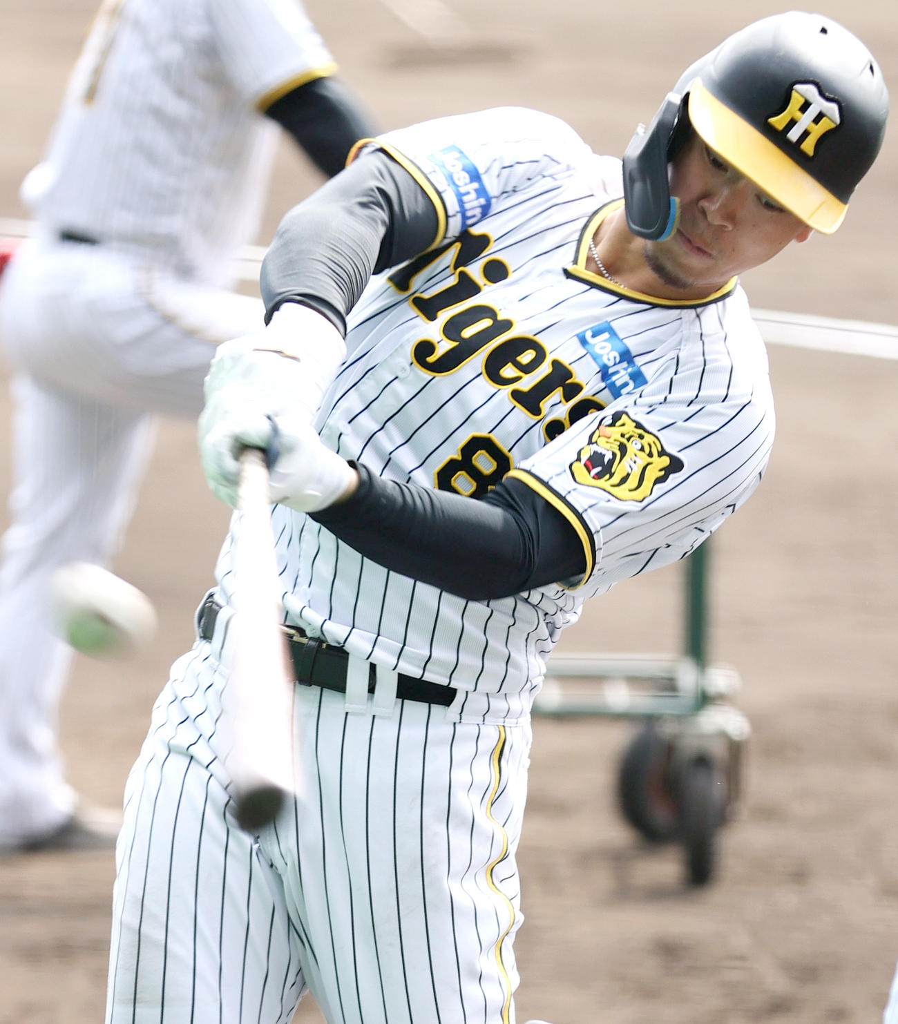 1日、ティー打撃する佐藤輝（撮影・上山淳一）