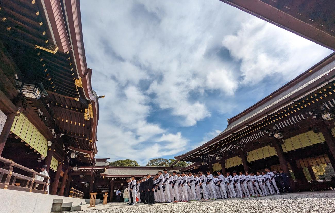 3年ぶりにチーム全体で明治神宮に参拝したヤクルトの選手、スタッフたち（撮影・三須一紀）