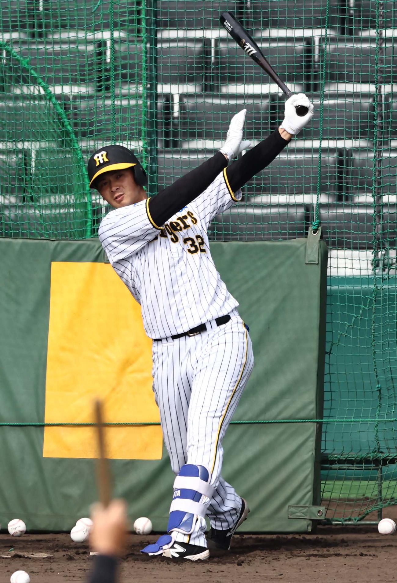フリー打撃練習をする井上（撮影・上田博志）