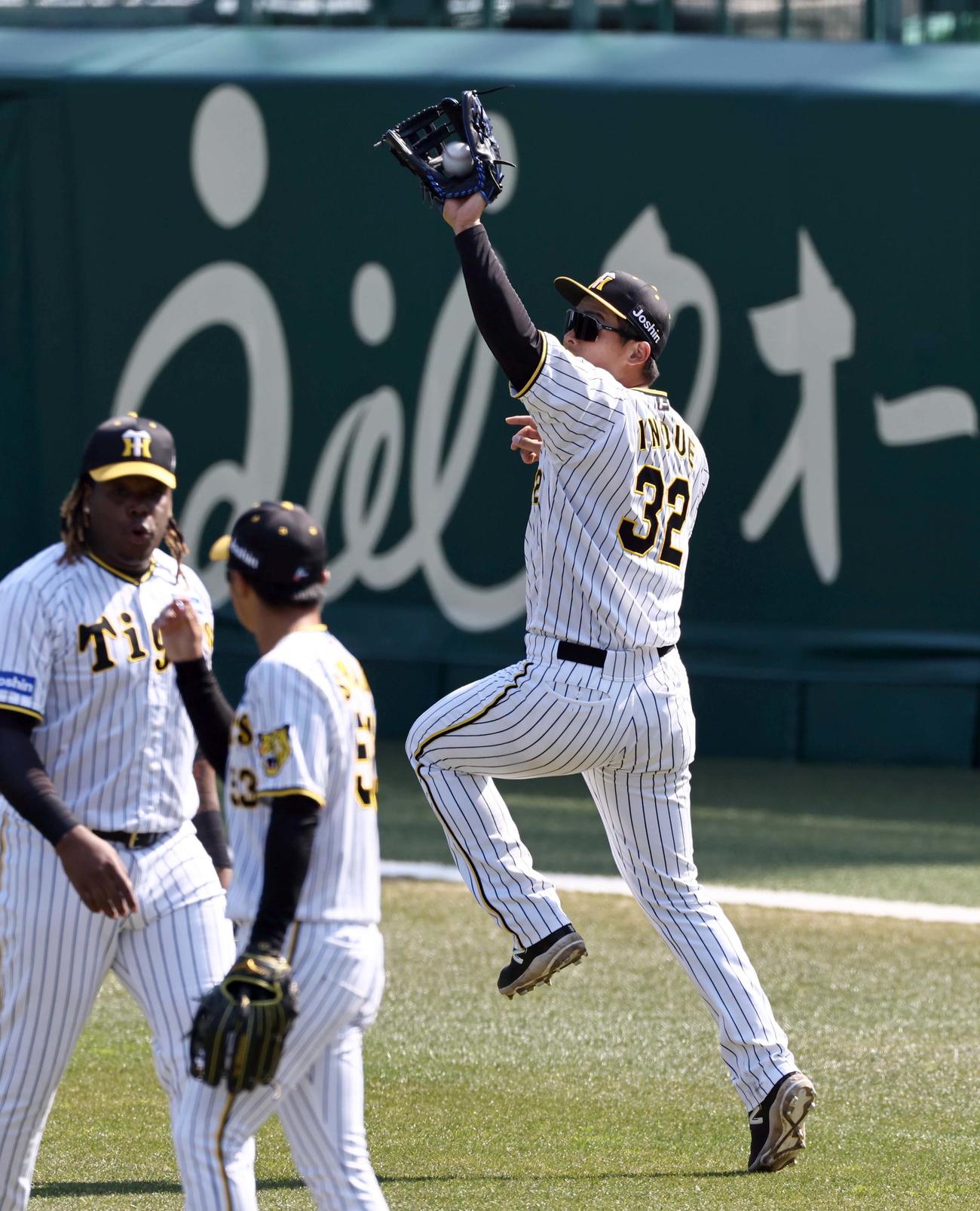 外野ノックを受ける井上（撮影・上田博志）