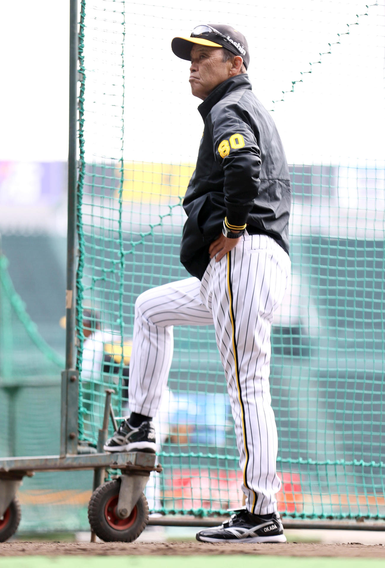 練習を見守る岡田監督（撮影・上山淳一）