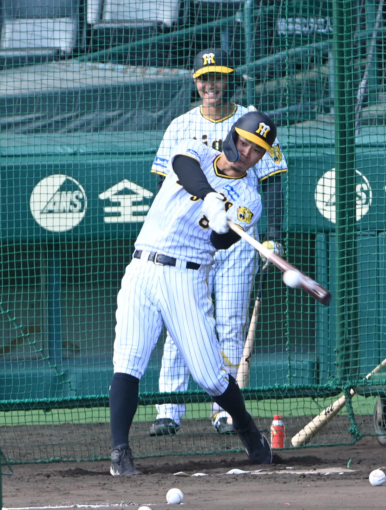 打撃練習を行う佐藤輝。後方は森下（撮影・前岡正明）