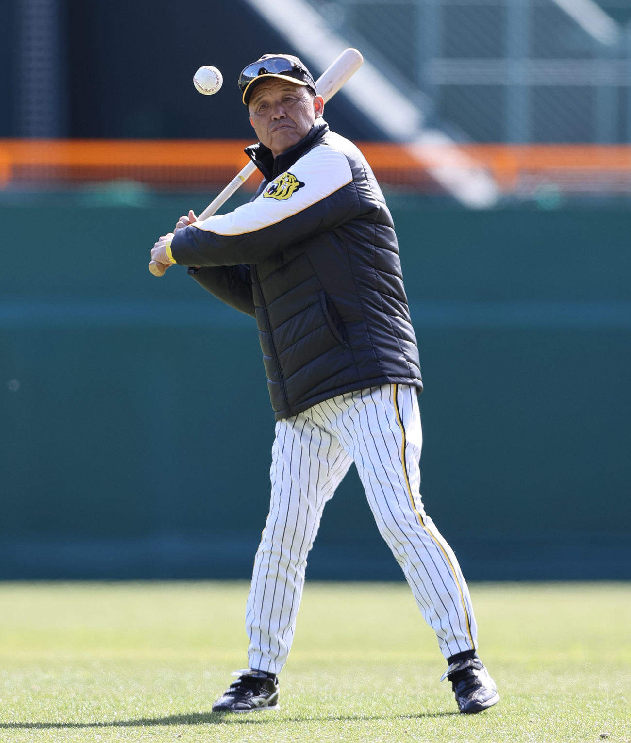 フリー打撃の球をバットで止め、打ち返す岡田監督（撮影・上山淳一）