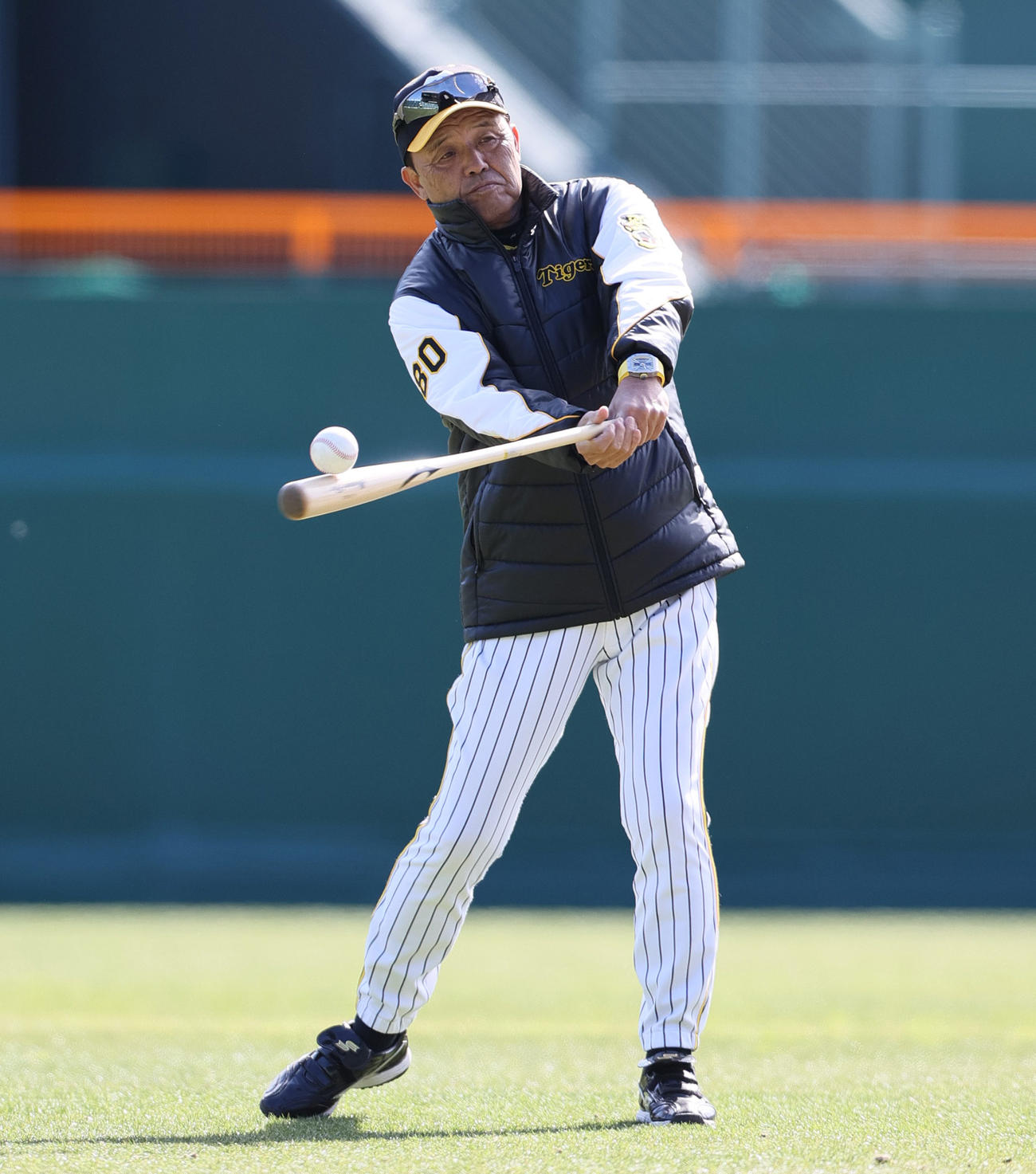 フリー打撃の球をバットで止め、打ち返すが失敗する岡田監督（撮影・上山淳一）