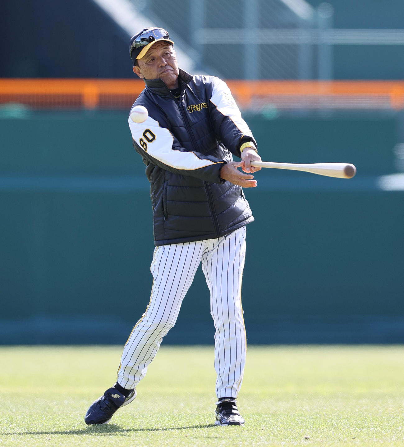 フリー打撃の球をバットで止め、打ち返すが失敗する岡田監督（撮影・上山淳一）