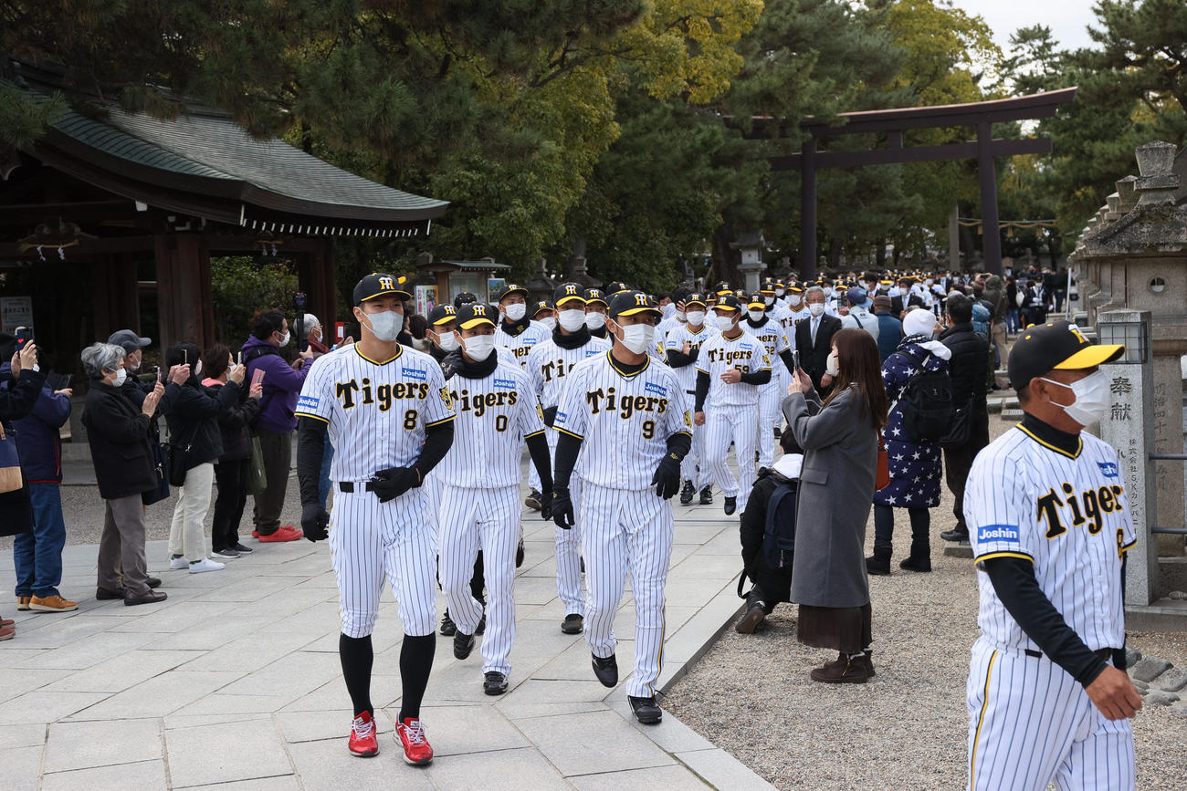 神社参拝でファンの待つ参道を通って境内へ向かう佐藤輝（左）ら阪神ナインたち（撮影・上山淳一）