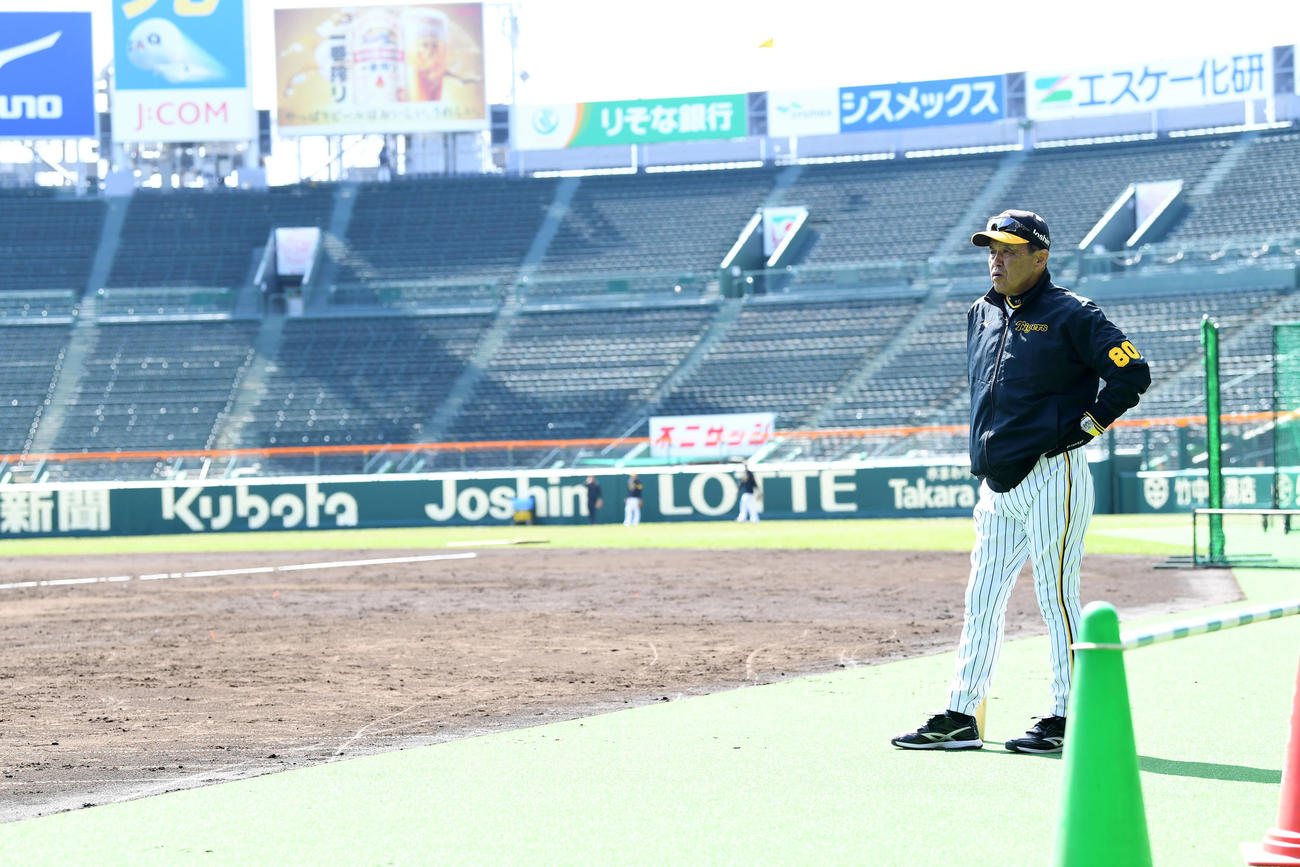 練習を見守る岡田監督（撮影・前岡正明）