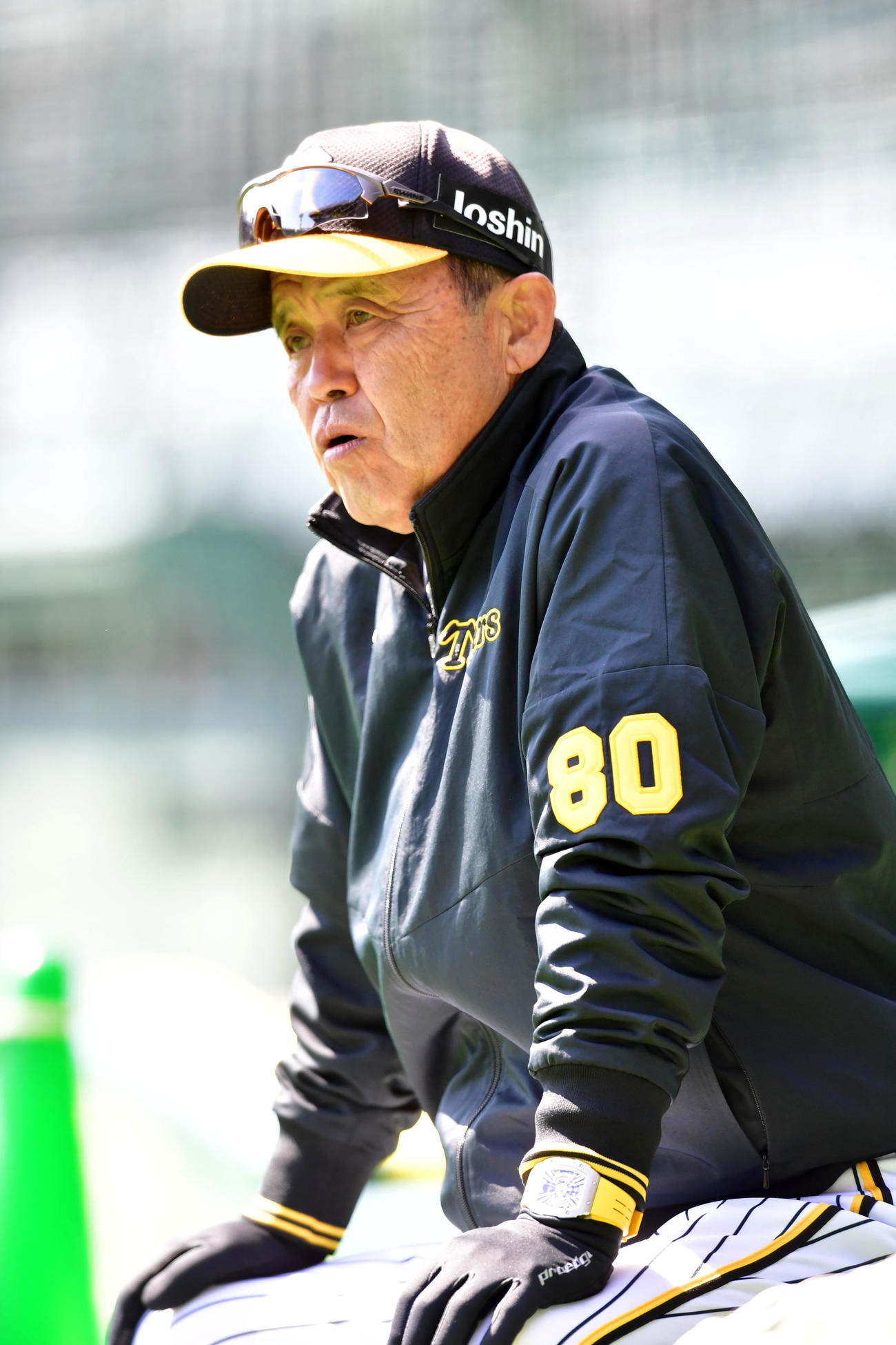 打撃練習を見る岡田監督（撮影・前岡正明）