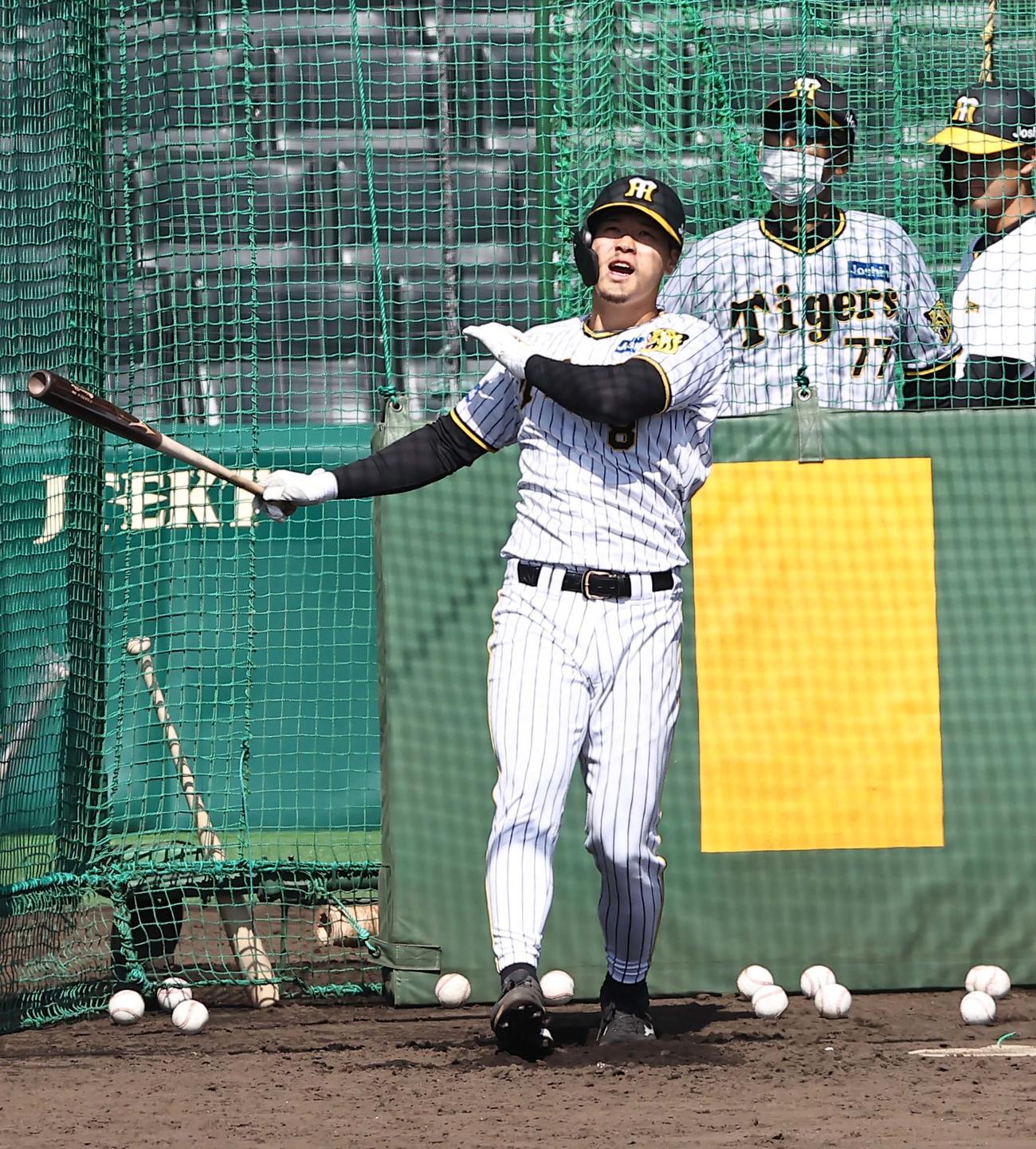 フリー打撃練習をする佐藤輝は右翼越えの打球に雄たけびをあげる（撮影・上田博志）